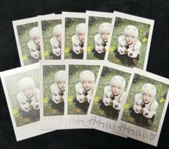 &TEAM HARUA Back to Life トレカ 10枚