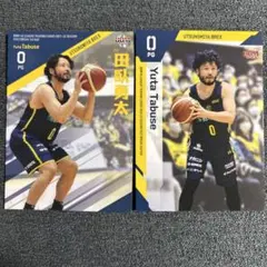 B.LEAGUE BBM カード 2022 田臥勇太 金箔サイン - メルカリ