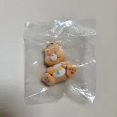 ケアベア　フロッキーマスコットチャーム