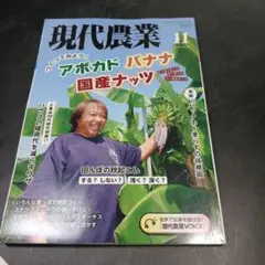 現代農業　2024年11月