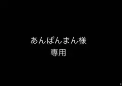 【あんぱんまん様】 専用