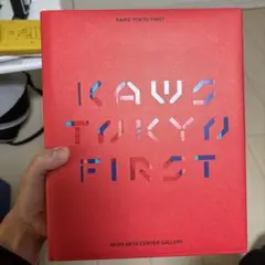 KAWS TOKYO FIRST