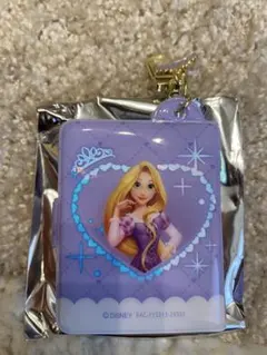 ディズニー　プリンセス ミニアルバム　キーチェーン ラプンツェル