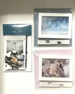 2026年最新】京本大我写真展の人気アイテム - メルカリ