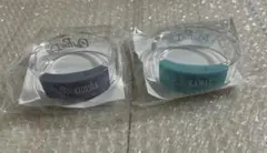 にじさんじ EX Gamers Event 叶 葛葉 バングルライト