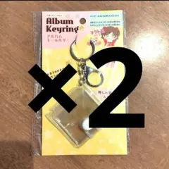 【最安値】アルバムキーホルダー　推し活　ダイソー　セリア　ミニシール帳　２個　⑥