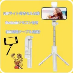 LEDライト　 Bluetooth 三脚付き ワイヤレスリモコン2way回転