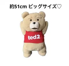 2026年最新】Ted テッド ぬいぐるみの人気アイテム - メルカリ