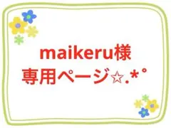 maikeru様専用ページ✩.*˚