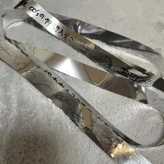 【rindo様専用ページ】5/11 銀テstraykids dominATE