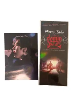 【Stray Kids 】domin Experience フォトカードセット