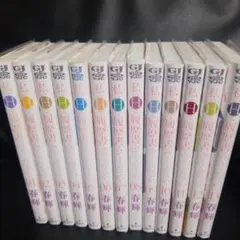 私のHな履歴書みてください全巻セット