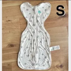 Item thumbnail for item 7d482194-e068-4b77-a16c-efacd75b2a16