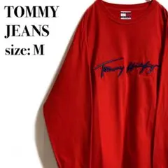 【激レア】　ヴィンテージ　トミージーンズ　立体ロゴ　3Dロゴ　Tシャツ　90s