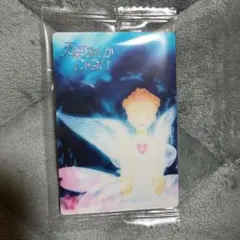 矢沢あいツインウエハース 天使なんかじゃない