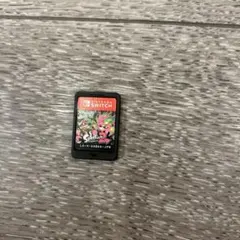 Nintendo Switch スプラトゥーン2(箱無し)
