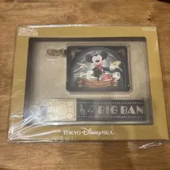 東京ディズニーシー ビッグバンドビート カメラストラップ パスケース