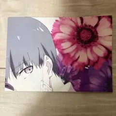 2026年最新】金木研 ポスターの人気アイテム - メルカリ