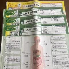 グノーブル GNOラーニング 理科 人体分野 まとめセット