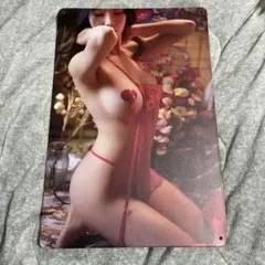 美女　ブリキ看板　アイアンウォール　メタルサイン