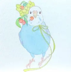 セキセイインコ 色鉛筆画 原画 - メルカリ