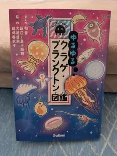 mochii様 リクエスト 2点 まとめ商品