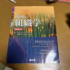 Item thumbnail for item 14189033-88f8-48ff-8e72-48ba75d60a48