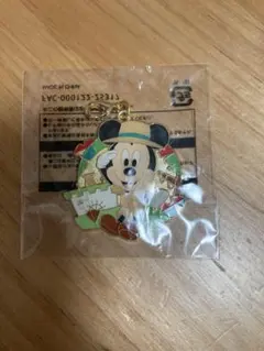 【新品未使用】✨ディズニー ミッキー チャーム✨非売品 ジャングルカーニバル