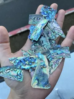 ニュージーランドアワビ貝　20枚　螺鈿細工　ハンドメイド　ハンドクラフト