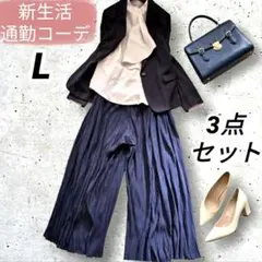 新生活 綺麗めネイビー通勤コーデ 3点L オフィスカジュアル 着回し NBB