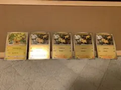 救助隊DXのピカチュウ（PROMO 036/S-P）等ピカチュウ5枚セット