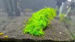 せぶんすき*バラ売り組み替え対応不可様 リクエスト 2点 まとめ商品