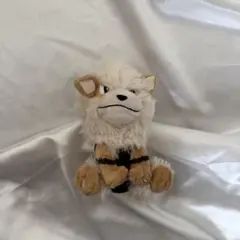 ポケモンセンターオリジナルぬいぐるみ モフモフパラダイス ウィンディ