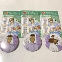 新テニスの王子様 Flower crown 缶バッジコレクションB 木手/甲斐