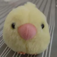 Item thumbnail for item ff15c1e2-738a-46b3-94ac-51cd5158ca2b