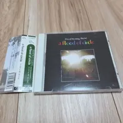 2026年最新】a flood of circle blu-rayの人気アイテム - メルカリ