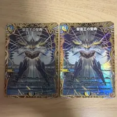 聖霊王の聖典 アルカディアスバイブル シークレット - メルカリ