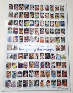 東京ディズニーリゾート　イマジニングザマジック　 クリアファイル　実写　サイン