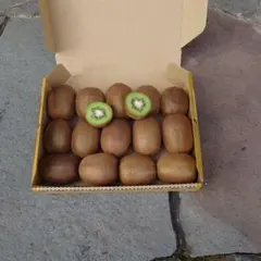 キウイフルーツ。14個。無農薬です。