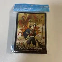 ポケモンカードゲーム デッキシールド ヒビキとバクフーン