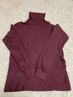 タートルネック 長袖カットソー