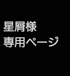 星屑様専用 SNOW MIKU 2021の中綿入りはんてん