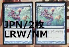 kumewassa様 リクエスト 2点 まとめ商品