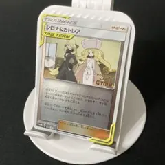 シロナ&カトレア PROMO S-Pプロモカード 088/S-P - メルカリ