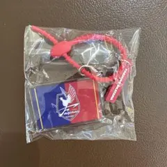ファジアーノ岡山 マルチチャーム