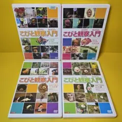 こびと観察入門 DVD 6本セット こびとづかん ずかん - メルカリ