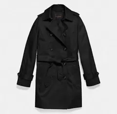 Item thumbnail for item 7e121365-95fe-410b-a0a1-74c50fb1880d