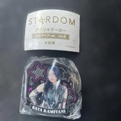 STAR DOM アクリルマーカーバストアップver SAYA KAMITANI