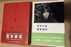 明日に向かって歩け! (赤本.初版.帯付き) 宮本浩次 エレファント
