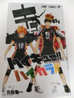 ハイキュー!! 公式カラーイラスト集 ハイカラ!!